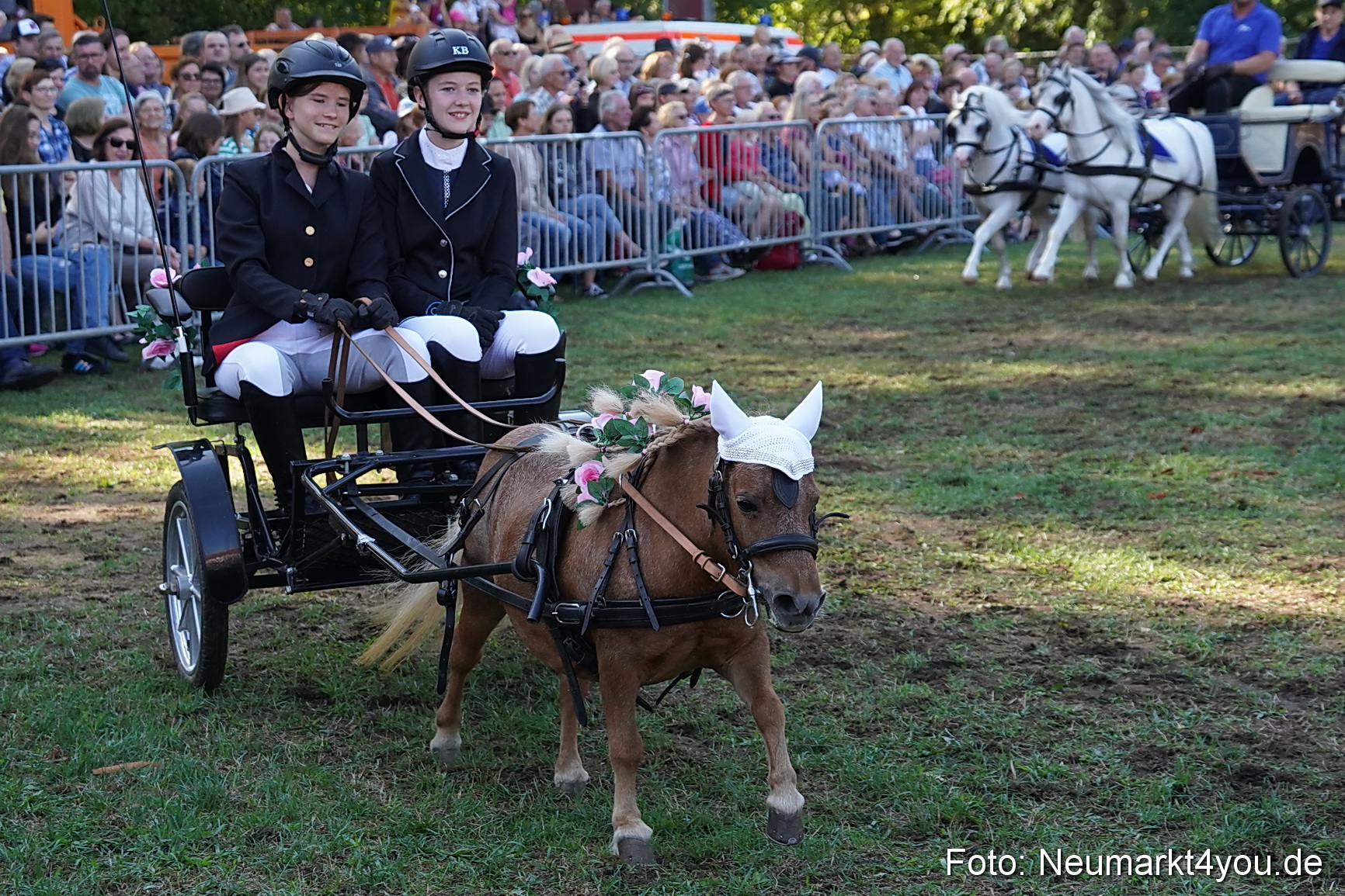 Pferde und Fohlenschau 2022 0093 